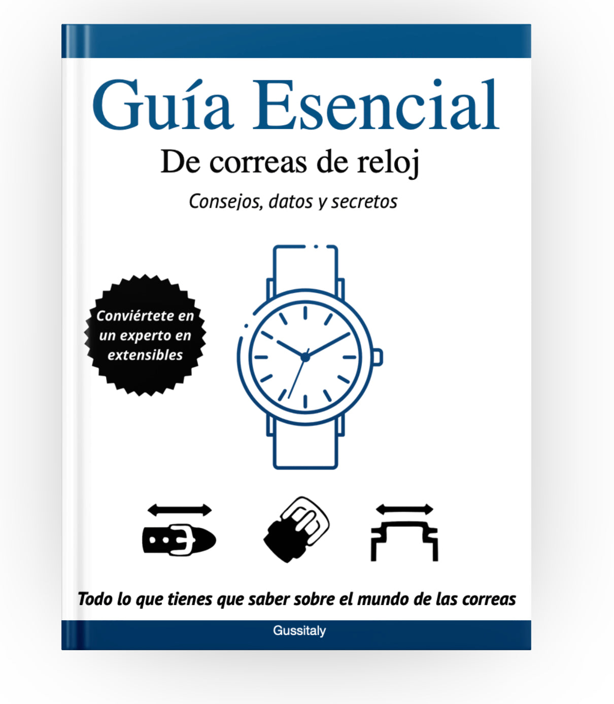 Guía Esencial de Correas